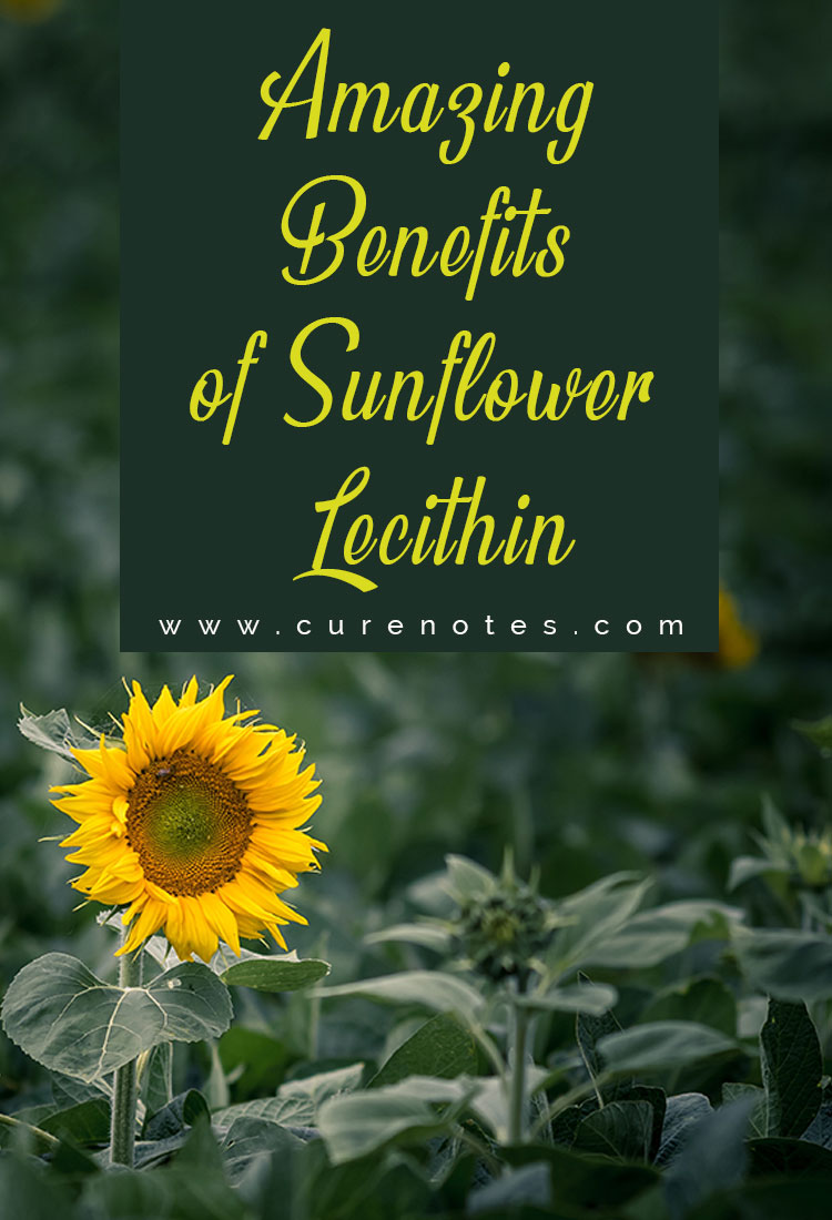 Amazing Benefits of Sunflower Lecithin